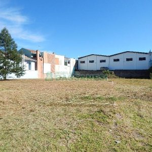 Terreno com 1250m², no bairro Bela Vista em Caxias do Sul para Alugar ou Comprar