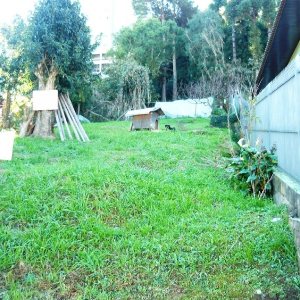 Terreno com 1460m², no bairro Petrópolis em Caxias do Sul para Comprar