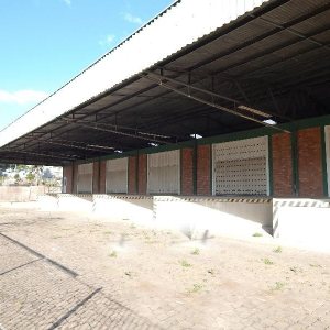 Pavilhão com 1397m², no bairro São José em Caxias do Sul para Alugar