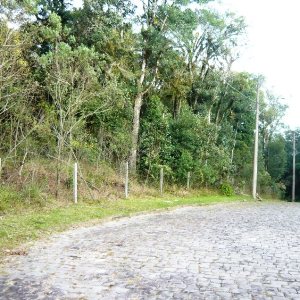 Terreno, no bairro Ana Rech em Caxias do Sul para Comprar