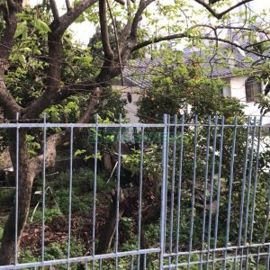 Casa, 4 dormitórios, 1 vaga, no bairro Jardelino Ramos em Caxias do Sul para Comprar