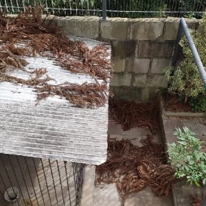 Casa com 390m², 6 dormitórios, 3 vagas, no bairro Universitário em Caxias do Sul para Comprar