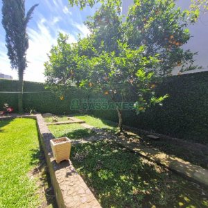 Casa Mobiliada com 330m², 3 dormitórios, 2 vagas, no bairro Petrópolis em Caxias do Sul para Alugar