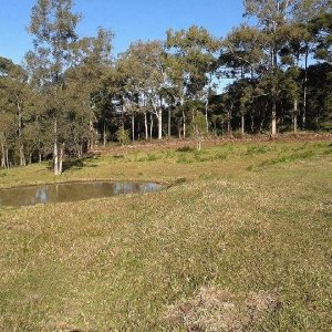 Chácara, no bairro Forqueta em Caxias do Sul para Comprar