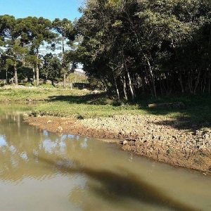 Chácara, no bairro Forqueta em Caxias do Sul para Comprar