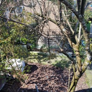 Casa com 172m², 3 dormitórios, no bairro Charqueadas em Caxias do Sul para Comprar