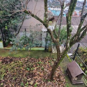 Casa com 172m², 3 dormitórios, 2 vagas, no bairro Charqueadas em Caxias do Sul para Comprar