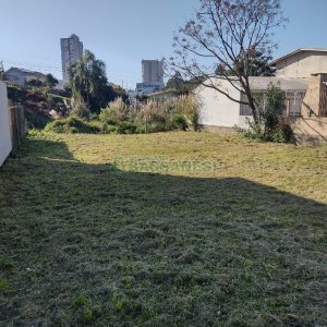Terreno com 360m², no bairro Desvio Rizzo em Caxias do Sul para Alugar ou Comprar