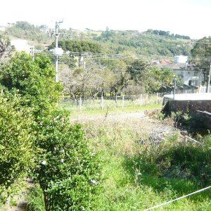 Casa com 76m², 3 dormitórios, 1 vaga, no bairro Colina do Sol em Caxias do Sul para Comprar