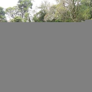 Terreno, no bairro São Luiz em Caxias do Sul para Comprar