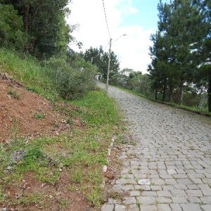 Terreno, no bairro São Luiz em Caxias do Sul para Comprar