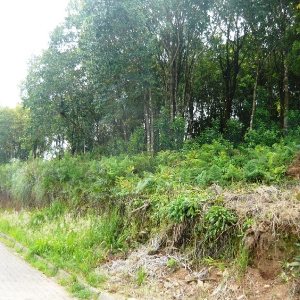 Terreno, no bairro São Gotardo em Caxias do Sul para Comprar