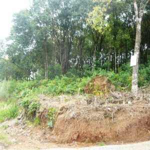 Terreno, no bairro São Gotardo em Caxias do Sul para Comprar