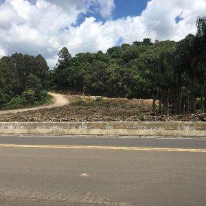 Pavilhão com 4500m², no bairro Santa Corona em Caxias do Sul para Alugar