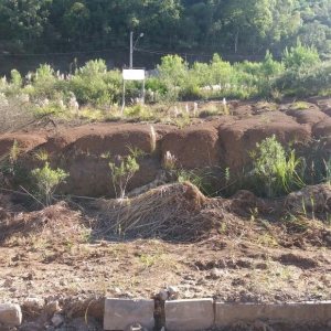 Terreno, no bairro Santa Catarina em Caxias do Sul para Comprar