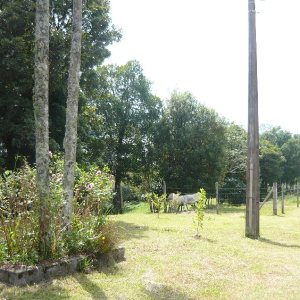 Chácara com 100m², 2 dormitórios, 1 vaga, no bairro Nossa Senhora da Saúde em Caxias do Sul para Comprar