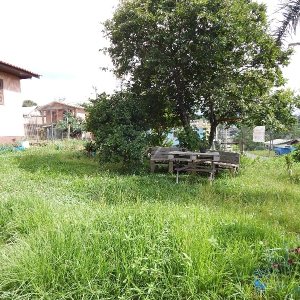 Casa com 123m², 3 dormitórios, no bairro Diamantino em Caxias do Sul para Comprar