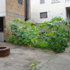 Casa Comercial com 110m², 4 dormitórios, 2 vagas, no bairro Centro em Caxias do Sul para Comprar