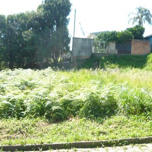 Terreno, no bairro São Caetano em Caxias do Sul para Comprar