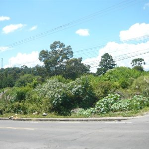 Terreno com 16680m², no bairro Santa Lúcia em Caxias do Sul para Comprar