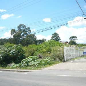 Terreno com 16680m², no bairro Santa Lúcia em Caxias do Sul para Comprar