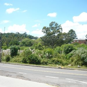 Terreno com 16680m², no bairro Santa Lúcia em Caxias do Sul para Comprar