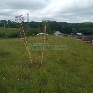 Chácara, no bairro Apanhador em Caxias do Sul para Comprar