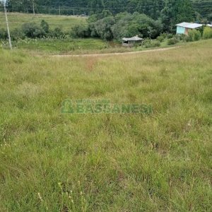 Chácara, no bairro Apanhador em Caxias do Sul para Comprar