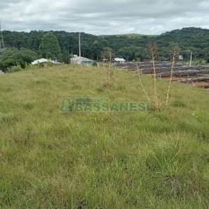 Chácara, no bairro Apanhador em Caxias do Sul para Comprar