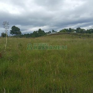 Chácara, no bairro Apanhador em Caxias do Sul para Comprar