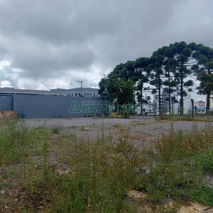 Terreno com 1100m², no bairro Lourdes em Caxias do Sul para Alugar