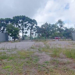 Terreno com 1100m², no bairro Lourdes em Caxias do Sul para Alugar