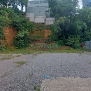 Terreno com 1100m², no bairro Lourdes em Caxias do Sul para Alugar