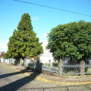 Casa com 250m², 3 dormitórios, 1 vaga, no bairro Panazzolo em Caxias do Sul para Comprar