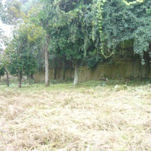 Terreno, no bairro Cruzeiro em Caxias do Sul para Comprar