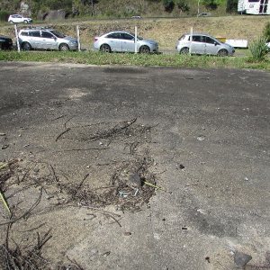 Terreno com 2520m², no bairro Cinqüentenário em Caxias do Sul para Alugar