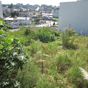 Terreno com 2520m², no bairro Cinqüentenário em Caxias do Sul para Alugar