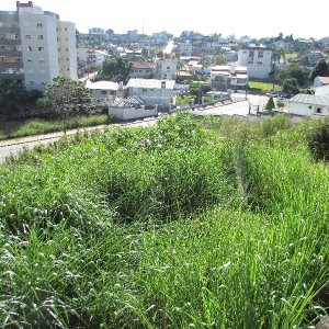 Terreno com 2520m², no bairro Cinqüentenário em Caxias do Sul para Alugar