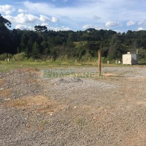 Pavilhão com 270m², no bairro Interlagos em Caxias do Sul para Comprar