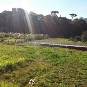 Pavilhão com 270m², no bairro Interlagos em Caxias do Sul para Comprar