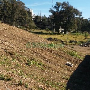 Pavilhão com 270m², no bairro Interlagos em Caxias do Sul para Comprar