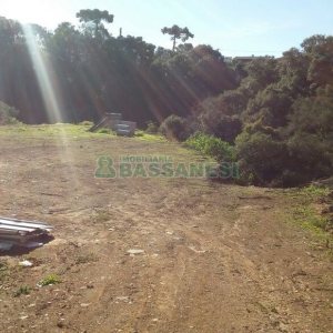 Pavilhão com 270m², no bairro Interlagos em Caxias do Sul para Comprar