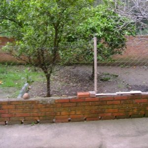 Casa com 120m², 3 dormitórios, no bairro Presidente Vargas em Caxias do Sul para Comprar