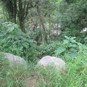 Terreno, no bairro Salgado Filho em Caxias do Sul para Comprar