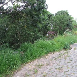 Terreno, no bairro Salgado Filho em Caxias do Sul para Comprar