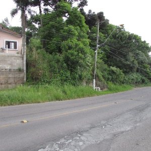 Terreno, no bairro Salgado Filho em Caxias do Sul para Comprar