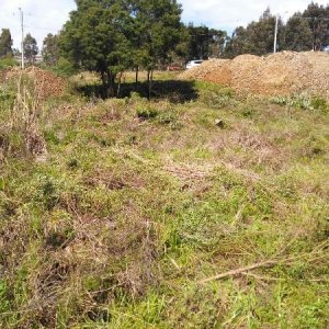 Terreno, no bairro São Ciro em Caxias do Sul para Comprar