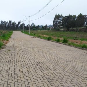 Terreno, no bairro São Ciro em Caxias do Sul para Comprar