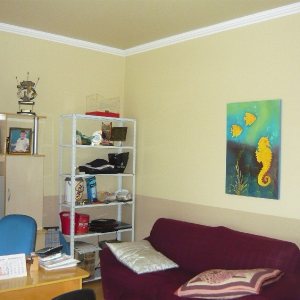 Casa com 599m², 4 dormitórios, 4 vagas, no bairro Santa Catarina em Caxias do Sul para Comprar