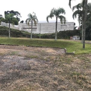 Terreno com 7000m², no bairro São Leopoldo em Caxias do Sul para Alugar